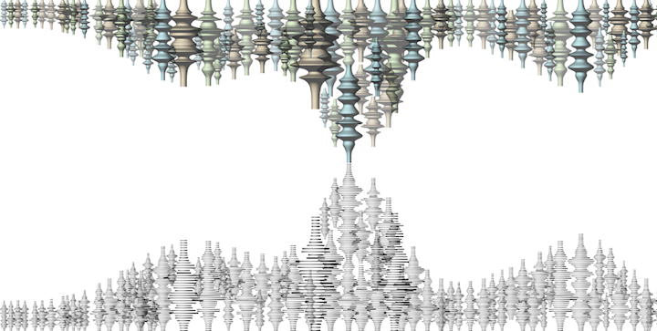 APICAL REFORM BODY IMAGE