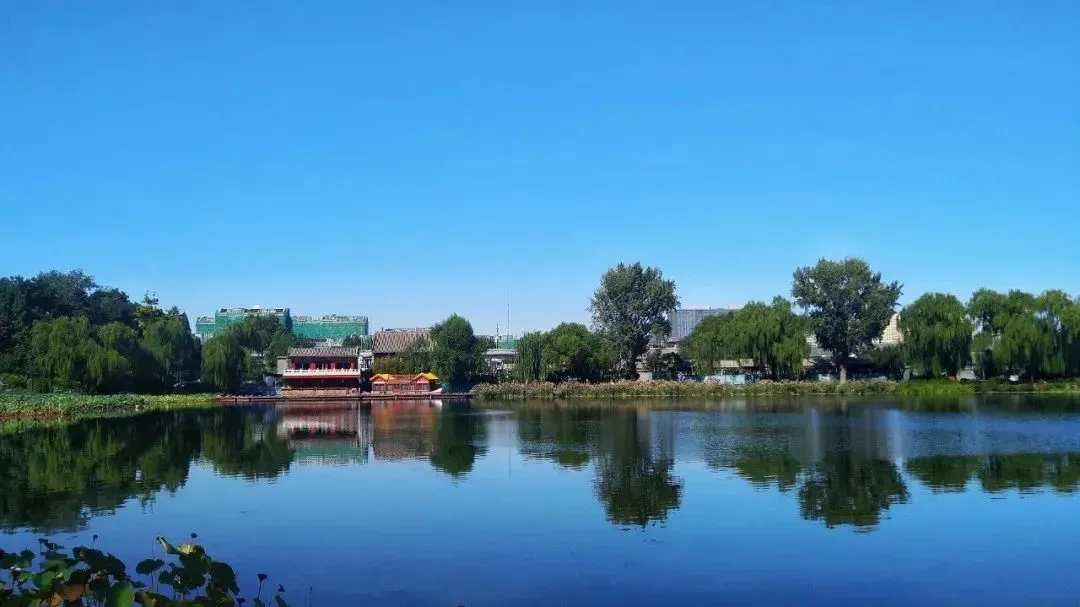 28.webp.jpg 28.webp.jpg