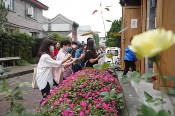 13.webp.jpg 13.webp.jpg